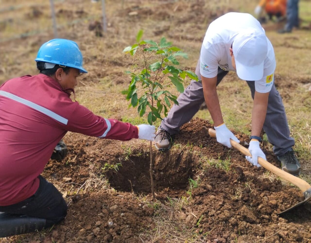 Dukung Ketahanan Lingkungan dan Ekonomi Desa, PLN UPDL Pandaan Realisasikan Program TJSL 2025