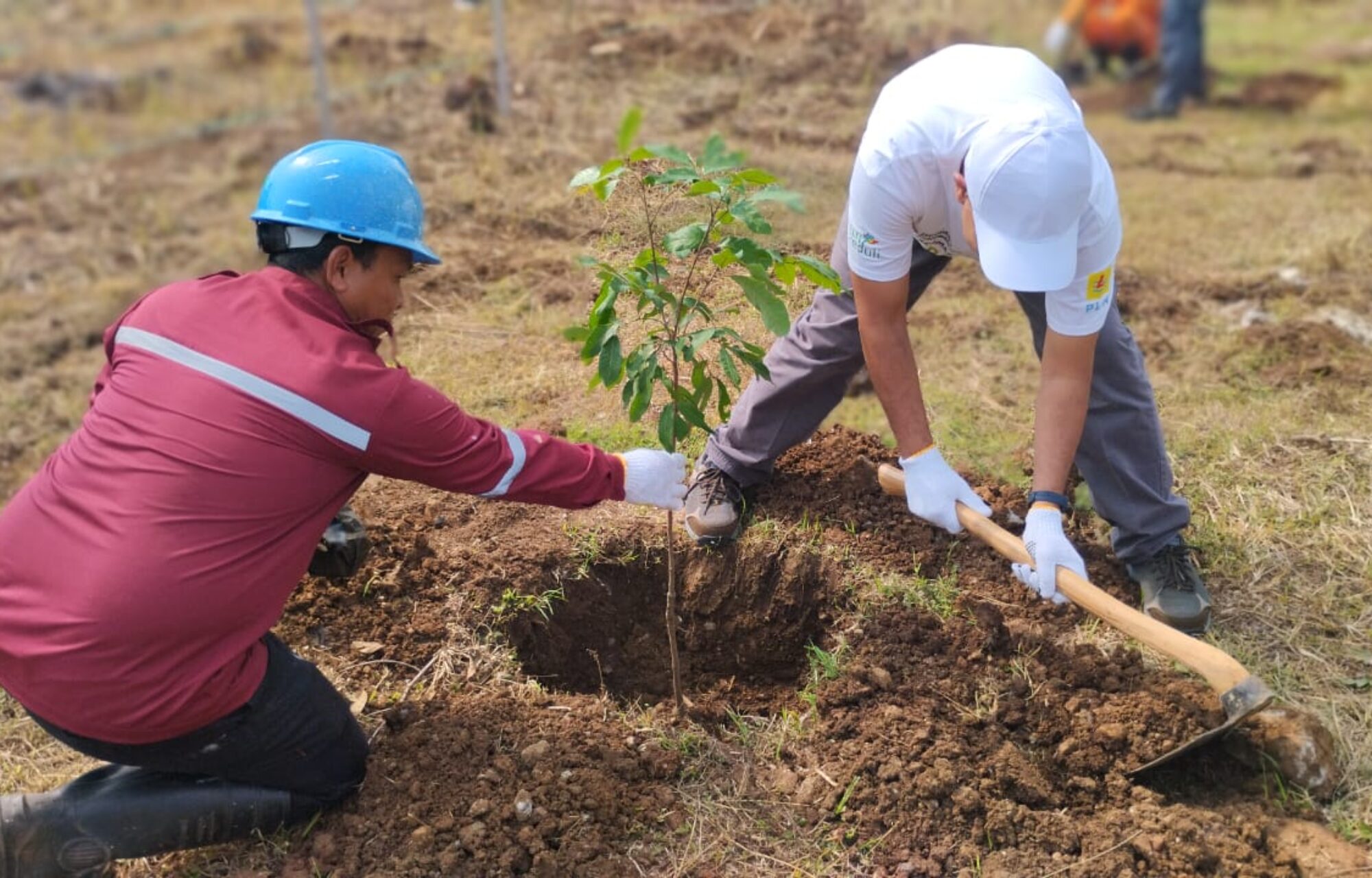 Dukung Ketahanan Lingkungan dan Ekonomi Desa, PLN UPDL Pandaan Realisasikan Program TJSL 2025