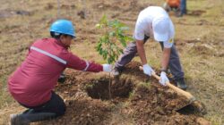 Dukung Ketahanan Lingkungan dan Ekonomi Desa, PLN UPDL Pandaan Realisasikan Program TJSL 2025