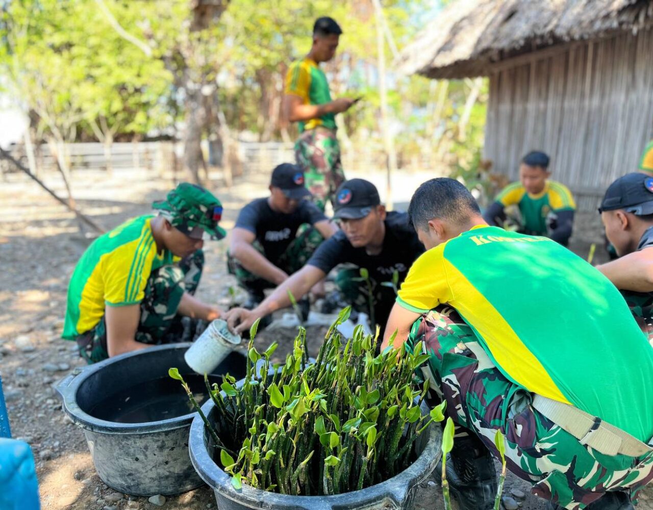 Satgas Pamtas RI-RDTL Tanam Mangrove di Oepoli, Wujud Nyata Kepedulian Lingkungan