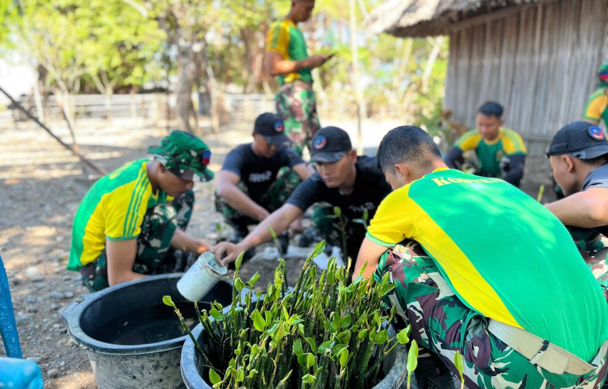 Satgas Pamtas RI-RDTL Tanam Mangrove di Oepoli, Wujud Nyata Kepedulian Lingkungan