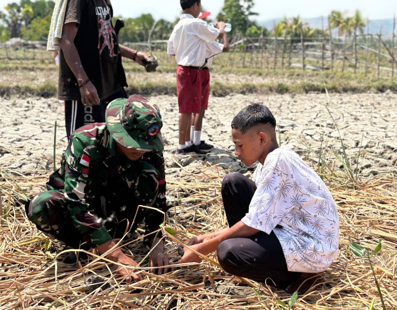 Lestarikan Lingkungan, Satgas Pamtas Yonarhanud 2 Kostrad Tanam 1000 Mangrove di Perbatasan
