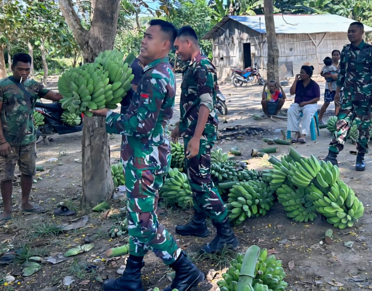 Satgas Pamtas Yonarmed 12 Kostrad Bantu Warga Panen Pisang di Perbatasan