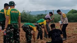Perkuat Ketahanan Pangan, Satgas Pamtas Pos Salore Turun ke Lahan Pertanian