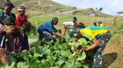 Dukung Kemandirian Pangan, Pos Fohuk Laksanakan Penyuluhan dan Panen Sayur