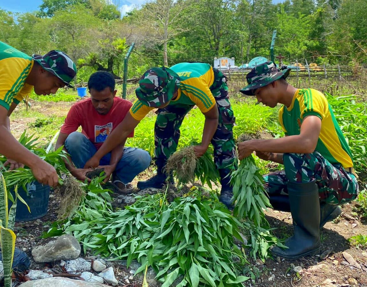 Sinergi Pos Dafala dan Masyarakat Perkuat Ketahanan Pangan di Wilayah Perbatasan