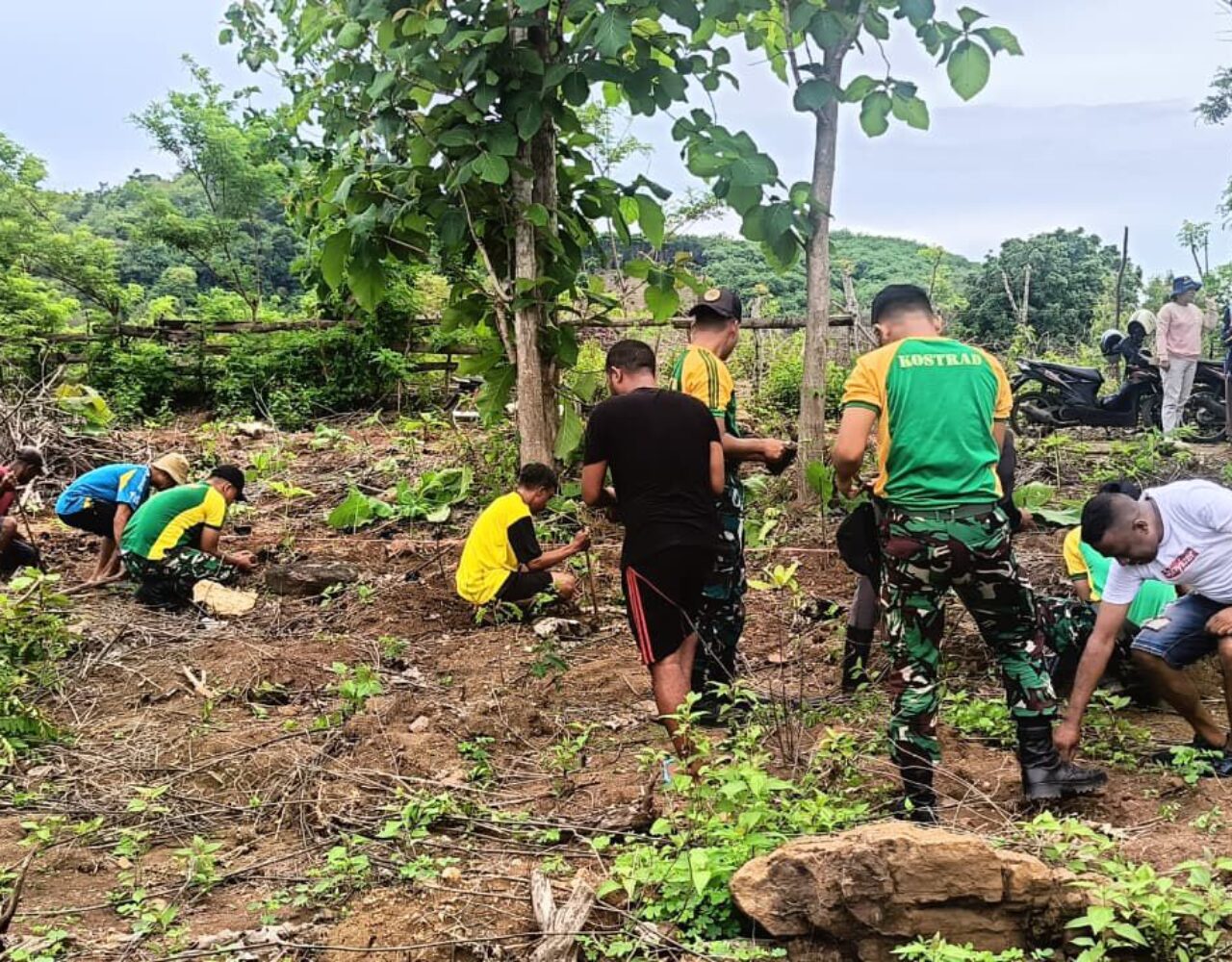 Satgas Pos Salore Tanam 1.000 Pohon Porang Bersama Warga Desa Tulakadi