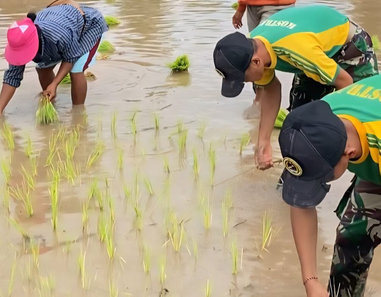 Yonarmed 12 Kostrad Hadir di Tengah Petani Perbatasan Lewat Program Ketahanan Pangan