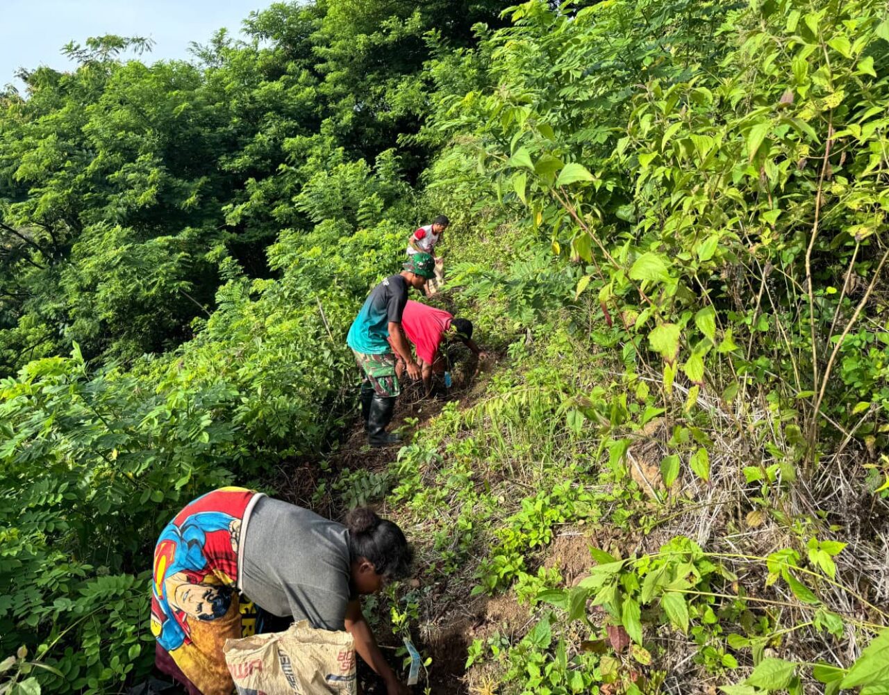 Berikan Edukasi, Satgas Pamtas Yonarhanud 2 Kostrad Ajarkan Pemupukan Tanaman Agar Subur