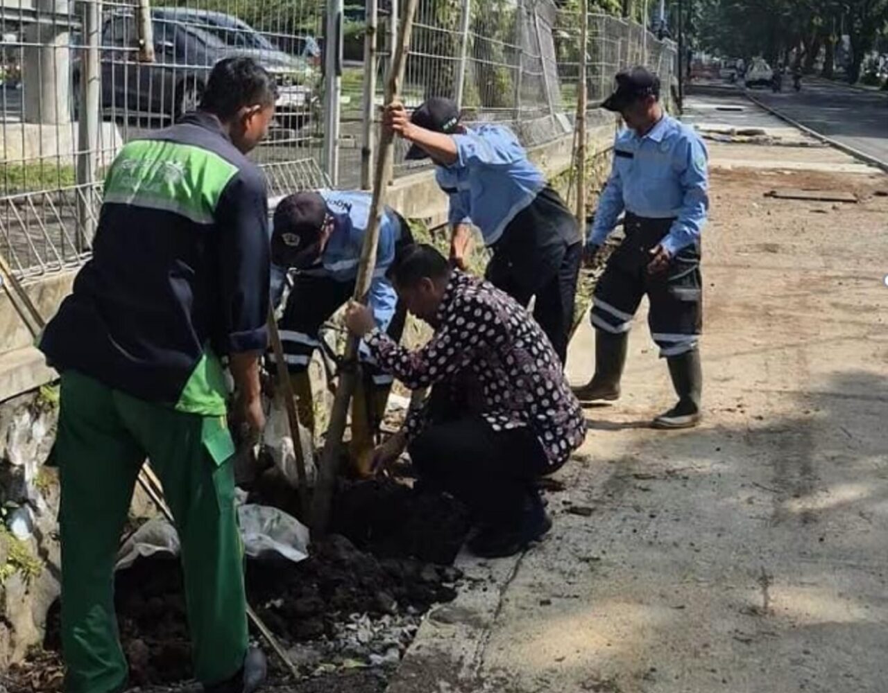 Kembalikan RTH Publik, DLH Kota Malang Tanam 40 Pohon Tabebuya di Koridor Suhat