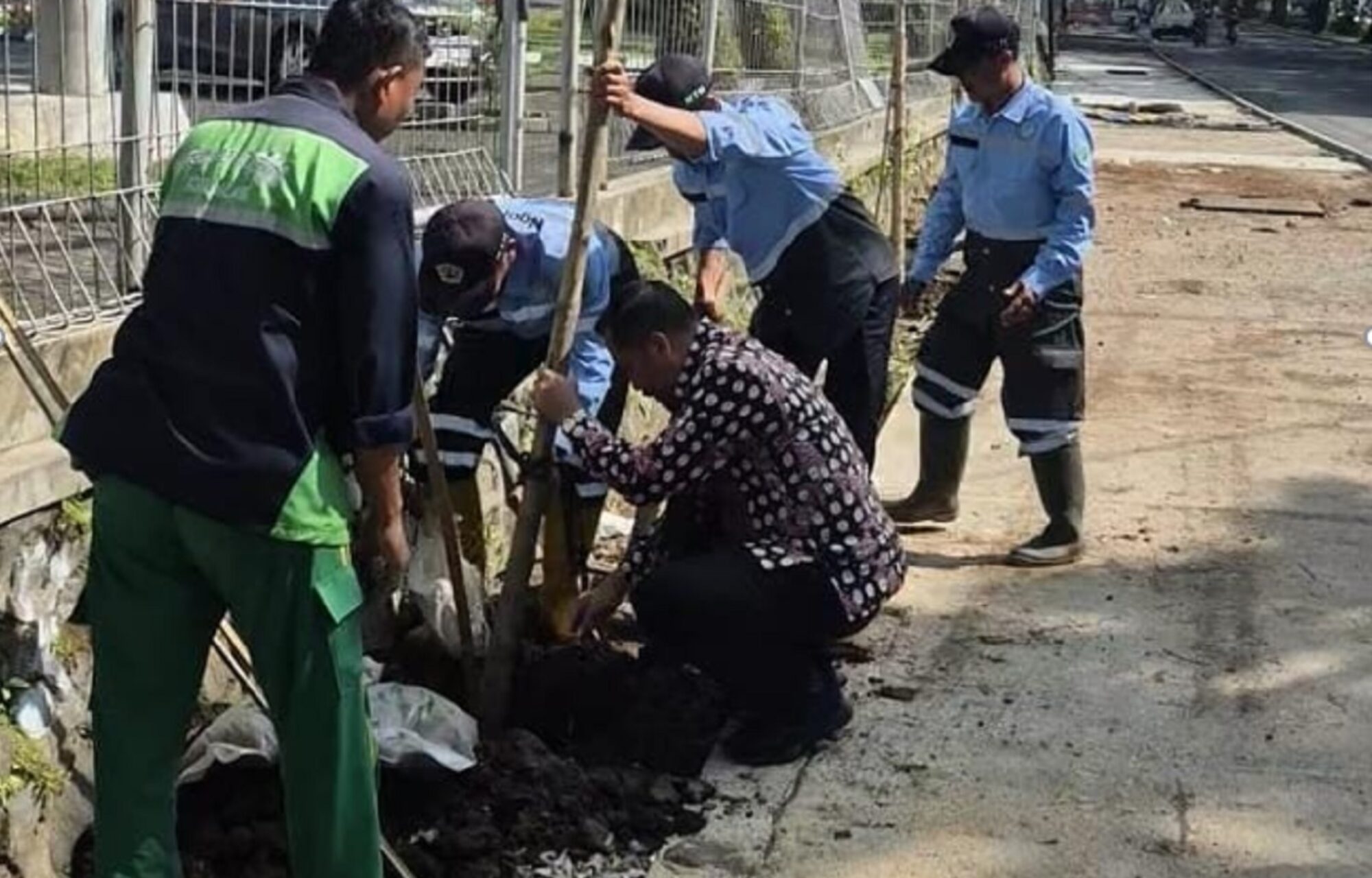 Kembalikan RTH Publik, DLH Kota Malang Tanam 40 Pohon Tabebuya di Koridor Suhat